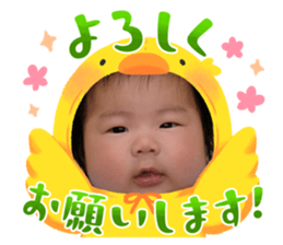 773303024