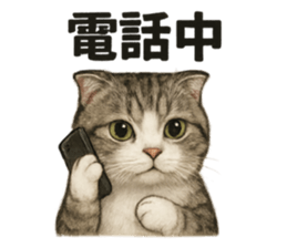 773305023
