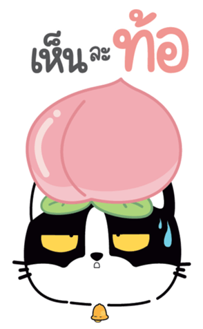 773308807