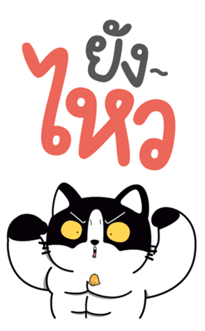 773308808