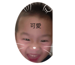 773309451