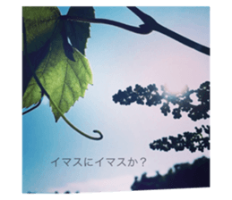 773309900