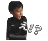 773311245