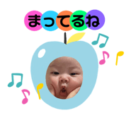 773311381