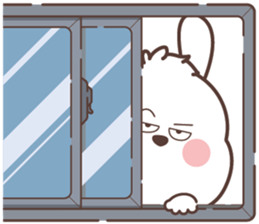 773311497