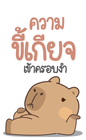 773311648