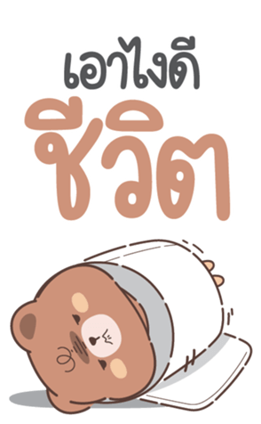 773311799