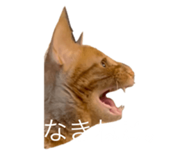 773319340