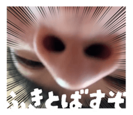 773319536