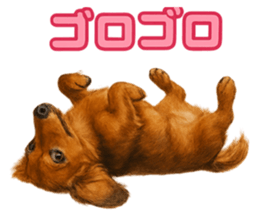 773320573