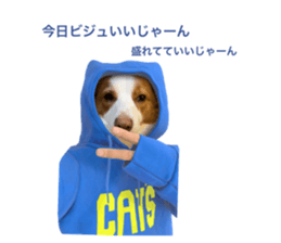 773321105