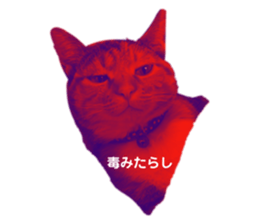 773321837