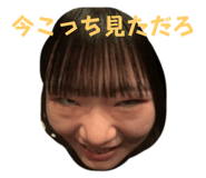 773322212