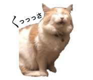 773328826