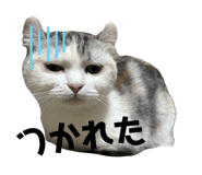 773328880