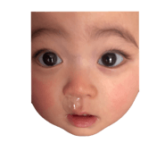 773329079