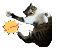 773329089