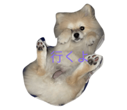 773332459