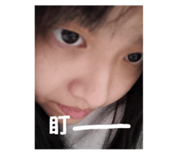 773334117