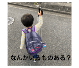 773334231