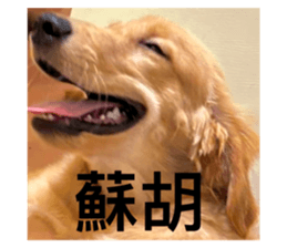773351342