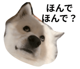 773351585