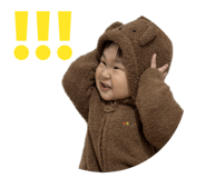 773353062