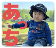 773353065