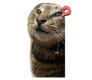 773354242