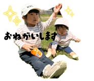 773354519