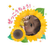 773355726