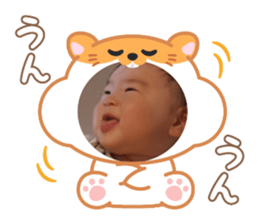 773355808
