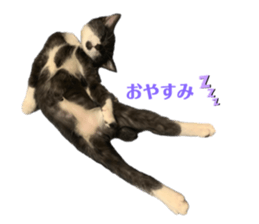 773356098