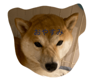 773356730