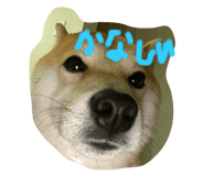 773356731