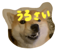 773356734