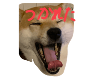 773356737