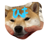773356739