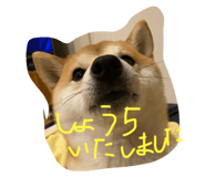 773356740