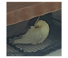 773357723