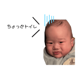 773362603