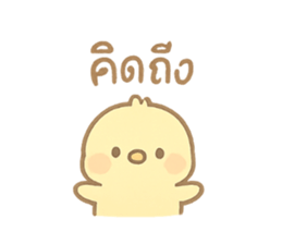773362951
