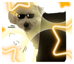 773365327