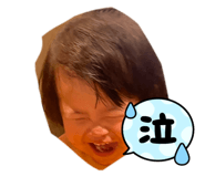 773366232