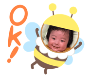 773366302