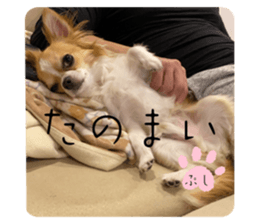 773371075