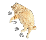 773374251