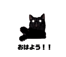 773374346