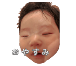 773375017