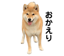 773376689